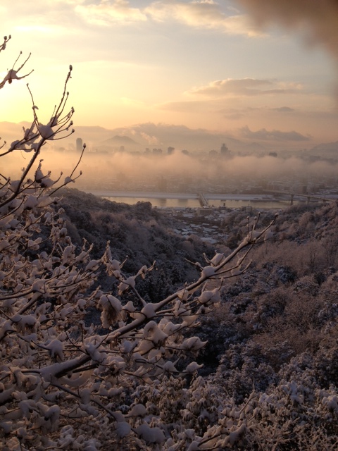 朝焼けに輝く雪景色